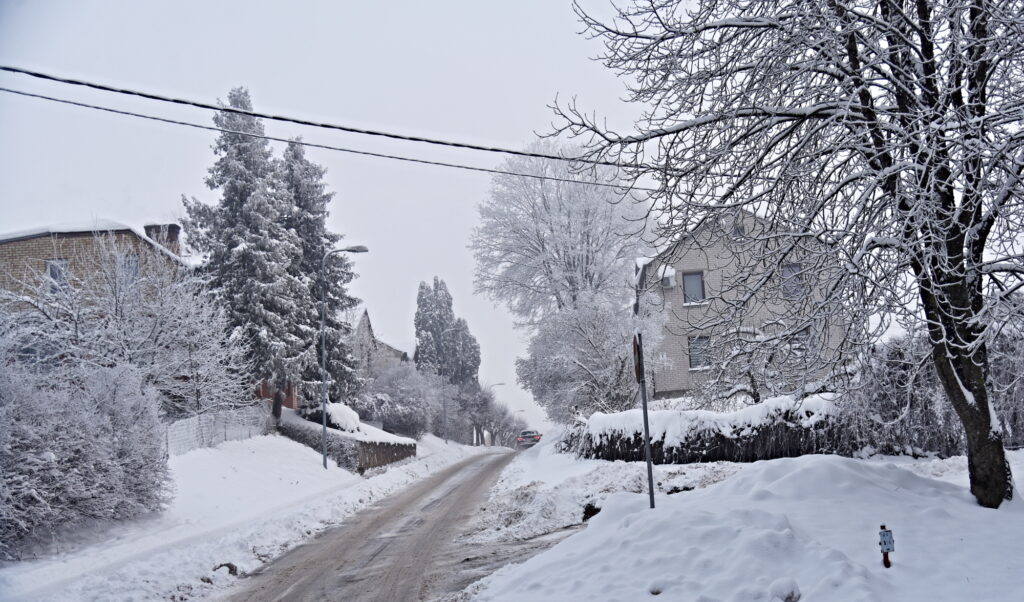 Autors: Uldis Varnevičs