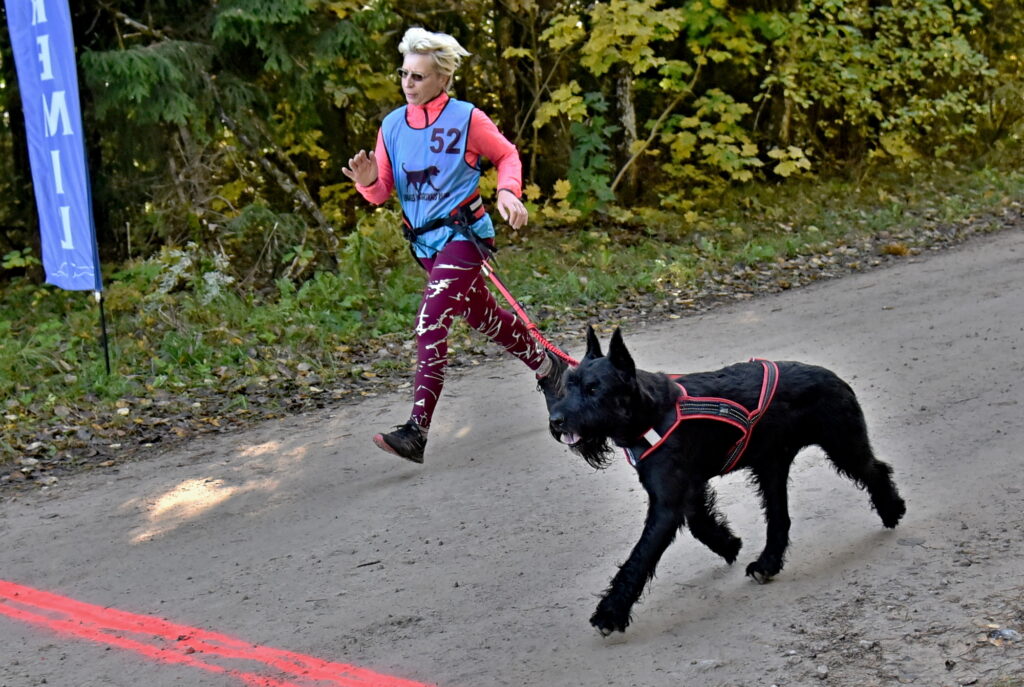 Autors: Uldis Varnevičs