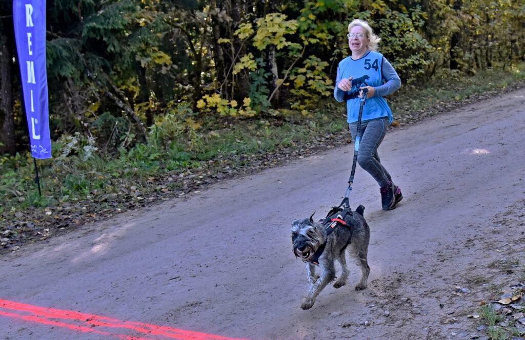 Autors: Uldis Varnevičs