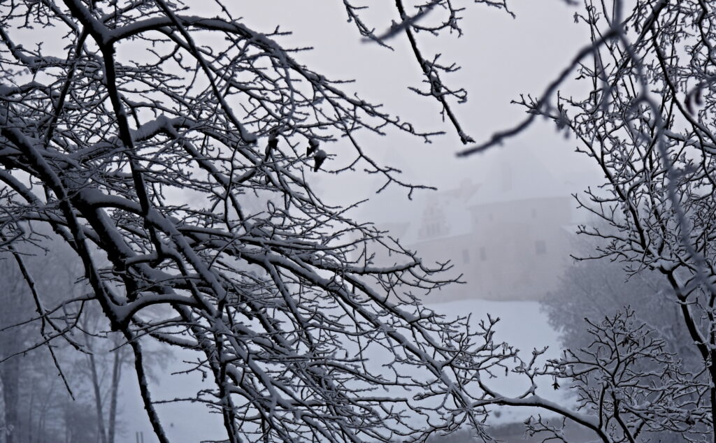 Autors: Uldis Varnevičs