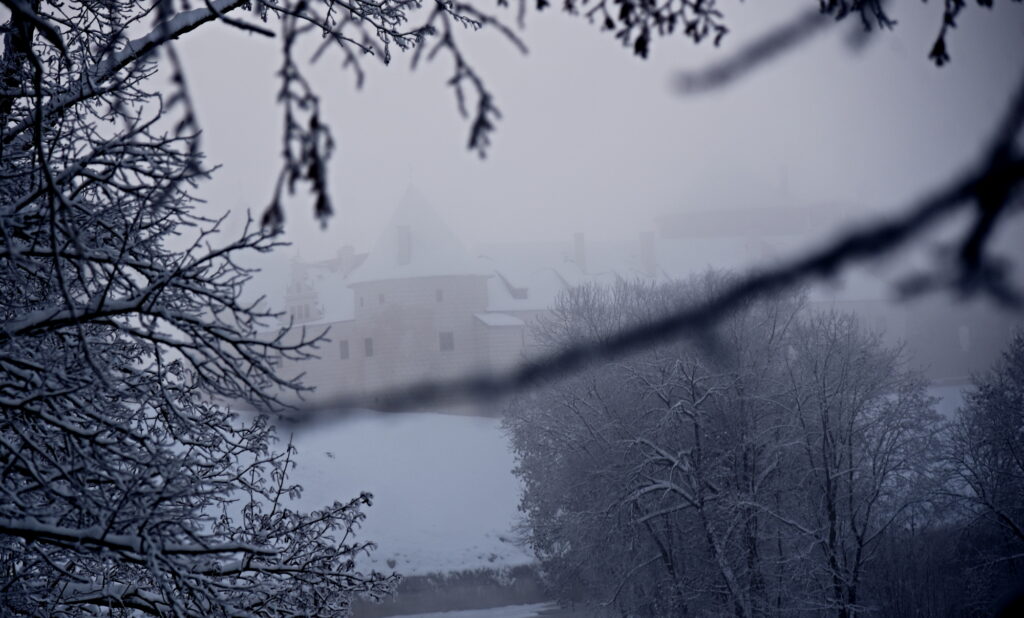 Autors: Uldis Varnevičs