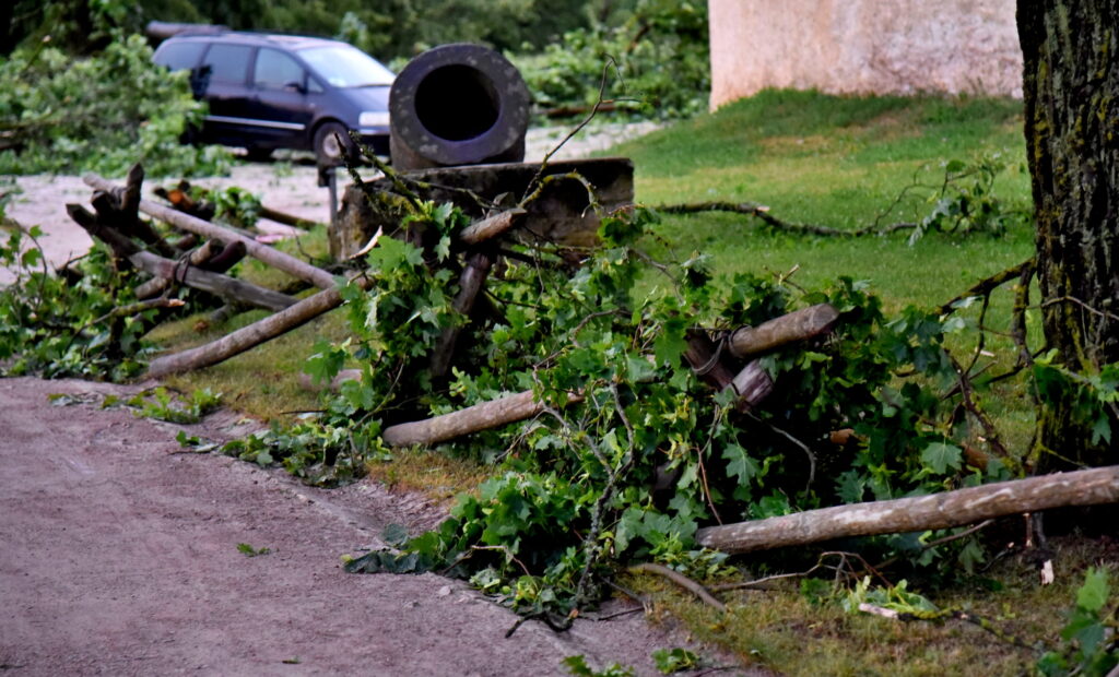 Autors: Uldis Varnevičs