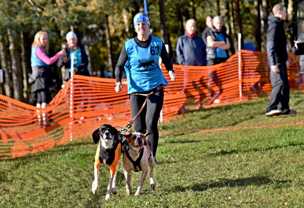 Autors: Uldis Varnevičs