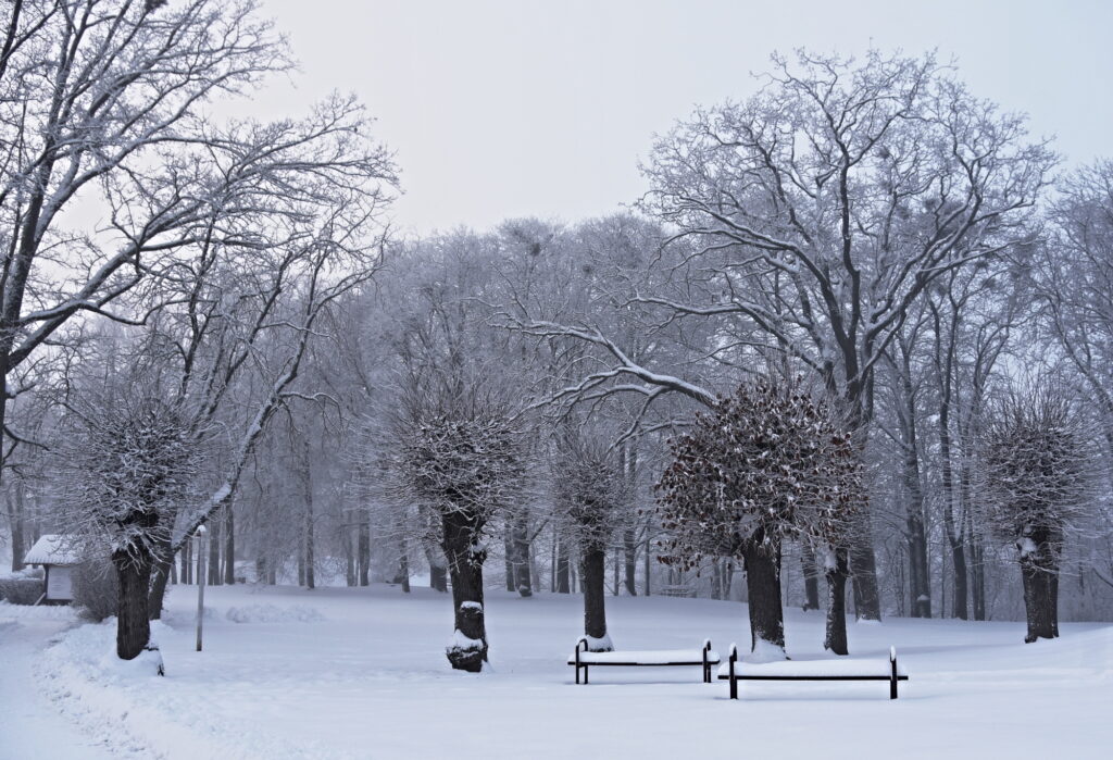 Autors: Uldis Varnevičs