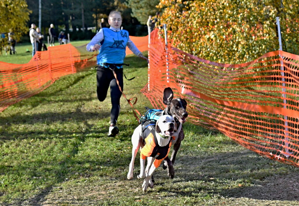 Autors: Uldis Varnevičs