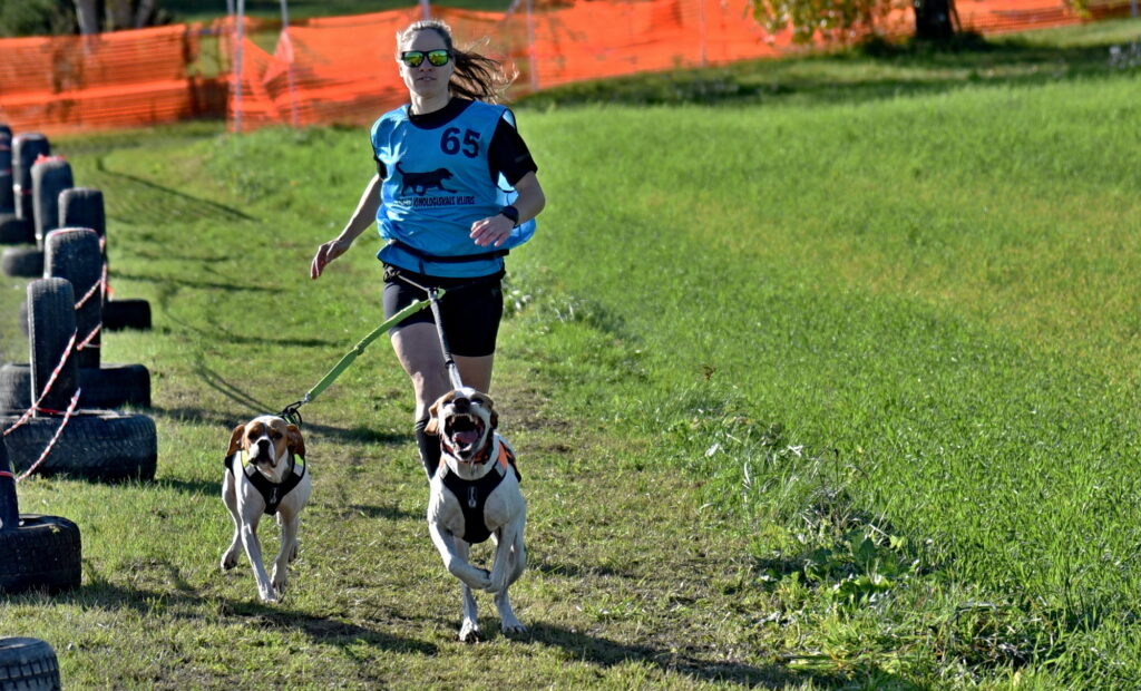 Autors: Uldis Varnevičs