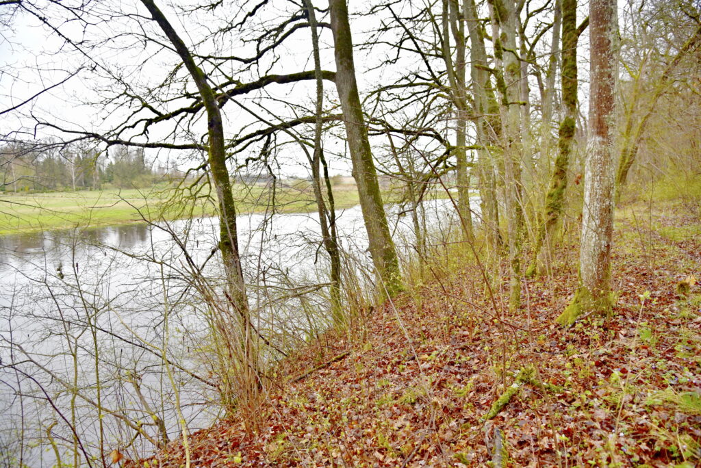 Autors: Uldis Varnevičs