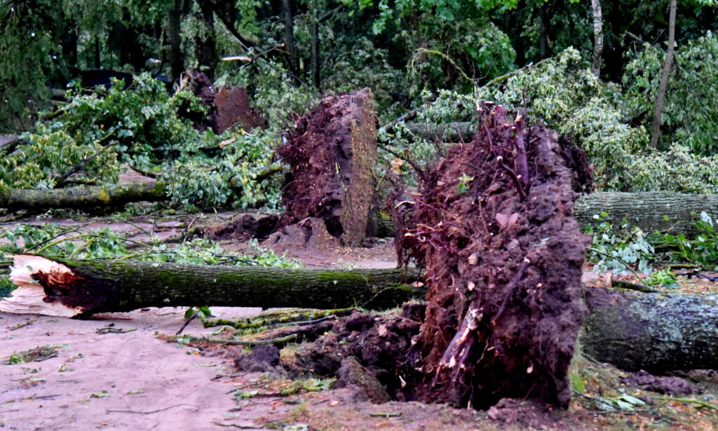 Autors: Uldis Varnevičs