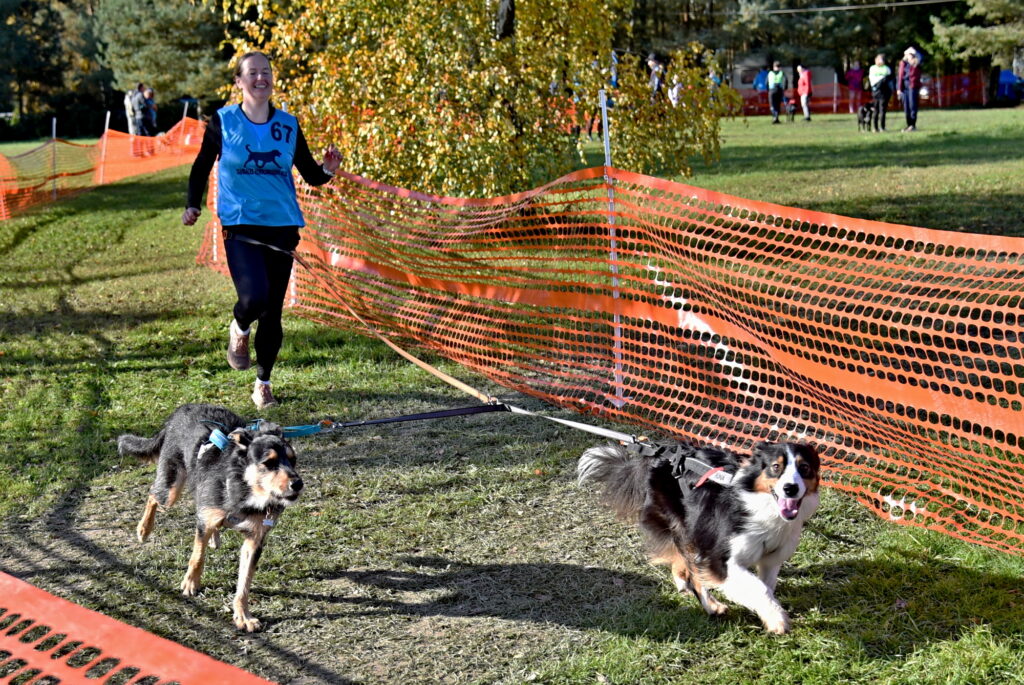 Autors: Uldis Varnevičs