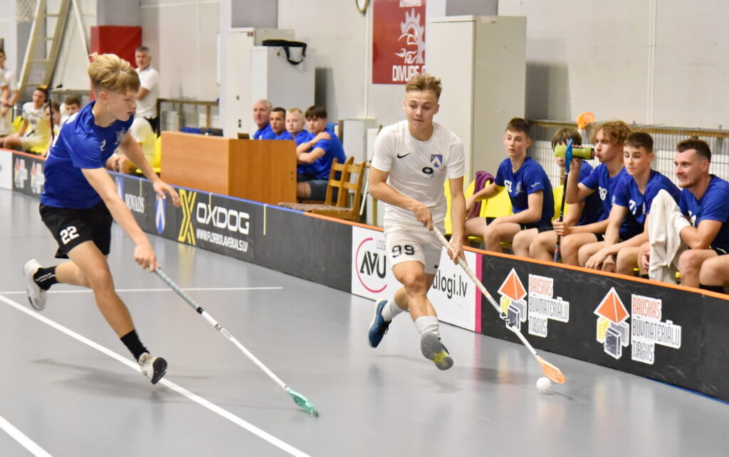 Autors: Uldis Varnevičs