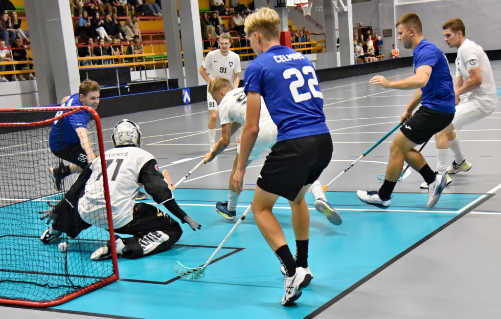 Autors: Uldis Varnevičs