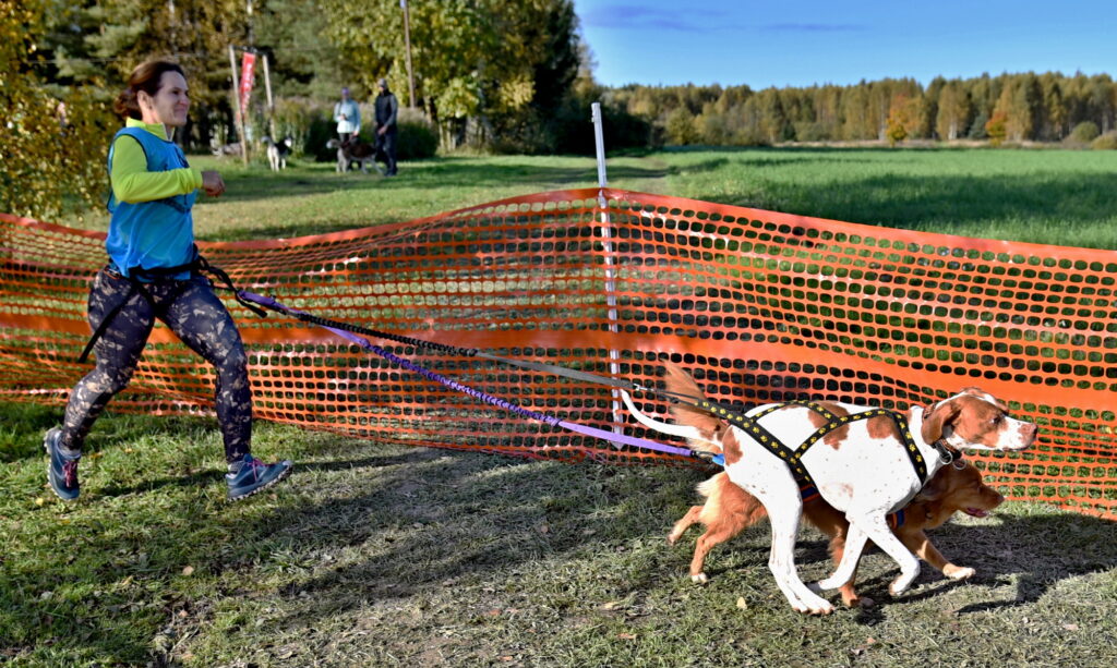 Autors: Uldis Varnevičs