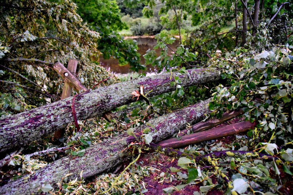 Autors: Uldis Varnevičs