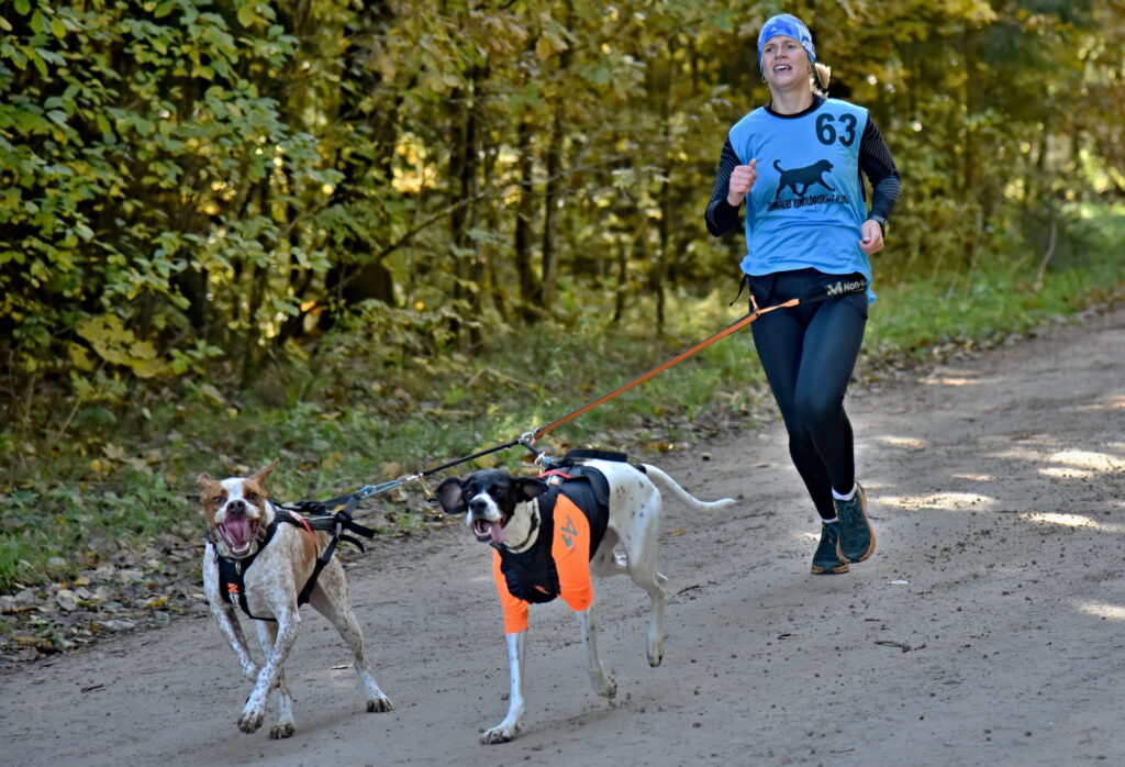 Autors: Uldis Varnevičs