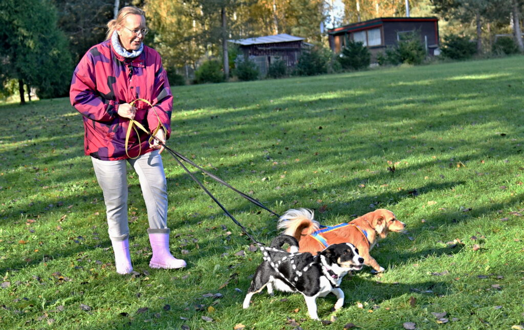 Autors: Uldis Varnevičs