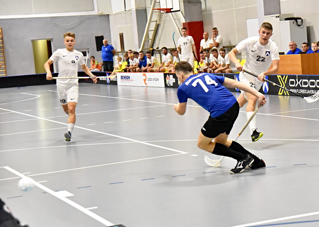 Autors: Uldis Varnevičs