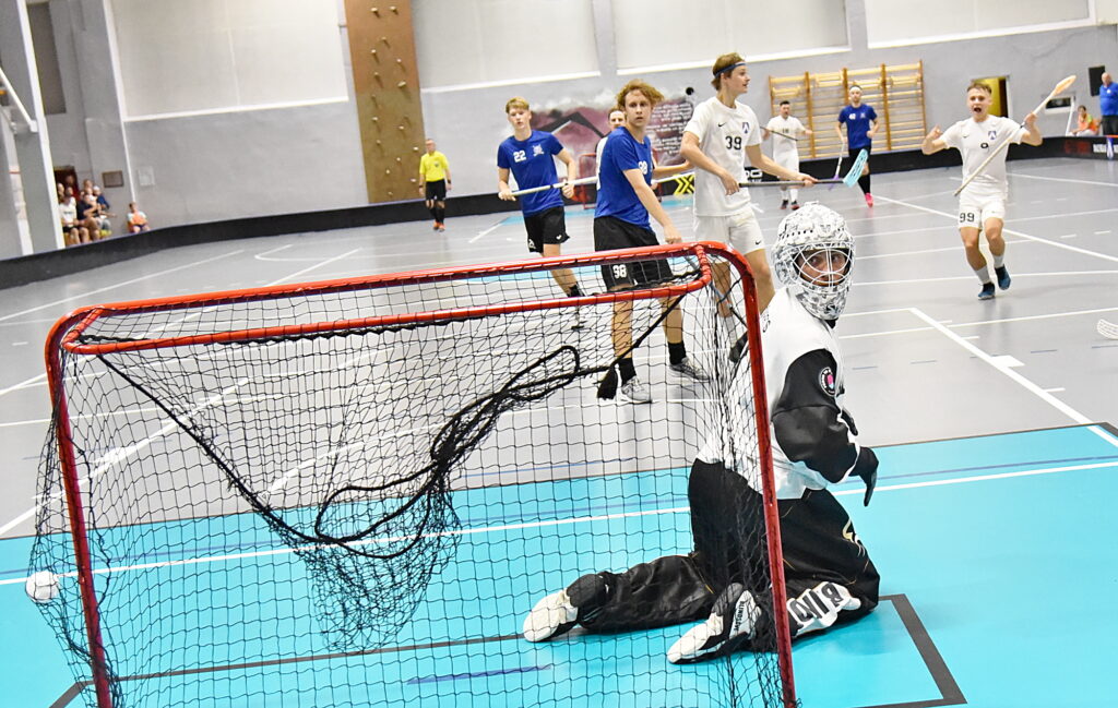 Autors: Uldis Varnevičs