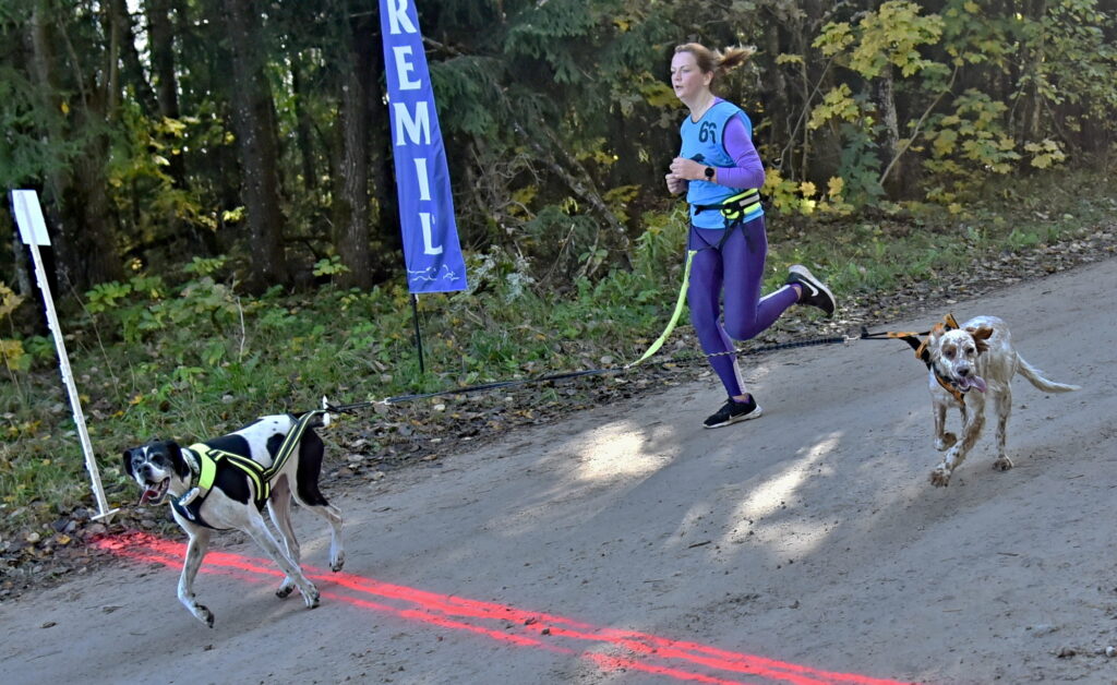 Autors: Uldis Varnevičs