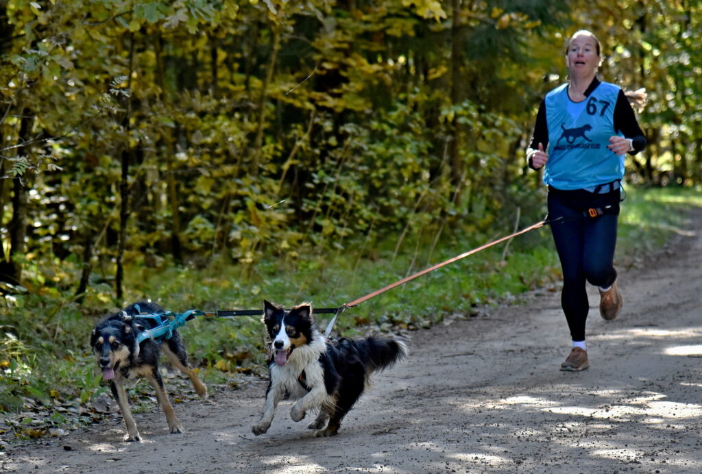 Autors: Uldis Varnevičs