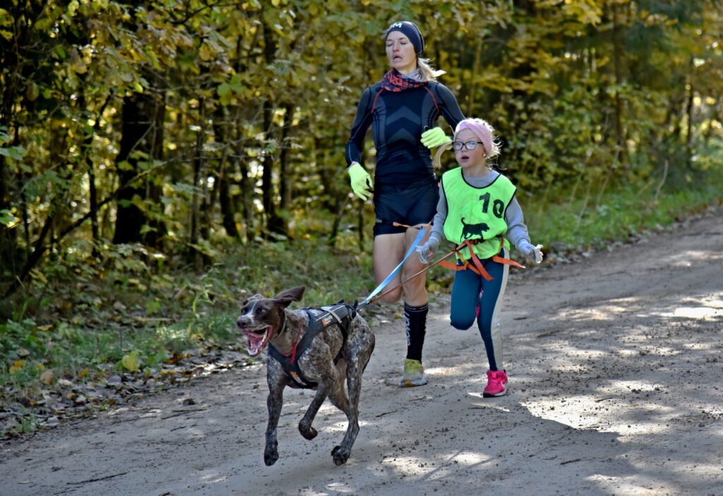 Autors: Uldis Varnevičs