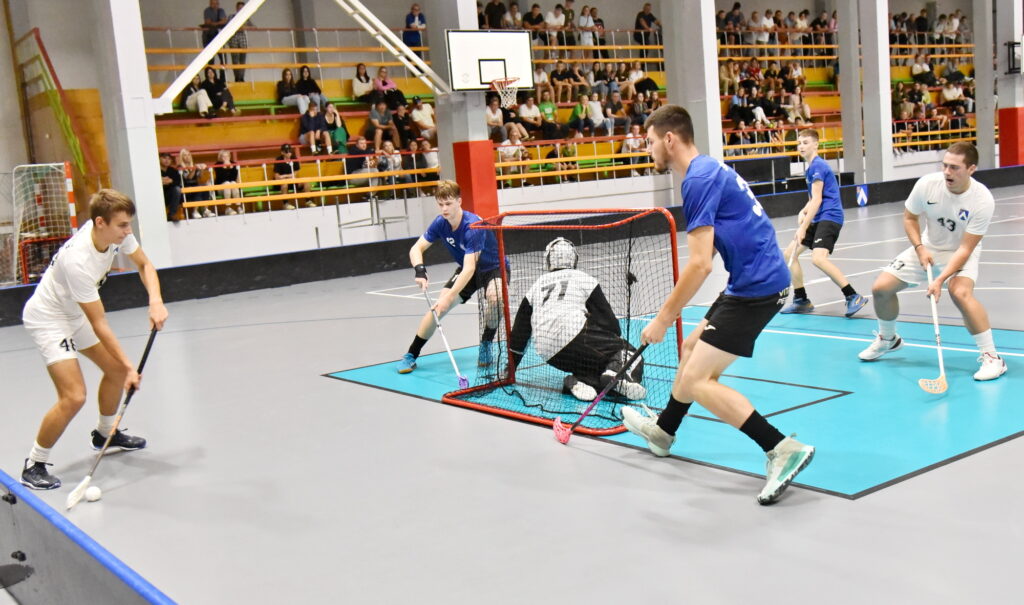 Autors: Uldis Varnevičs