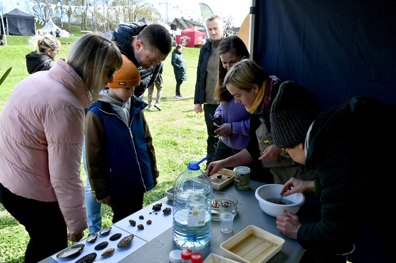 Autors: Ivars Bogdanovs