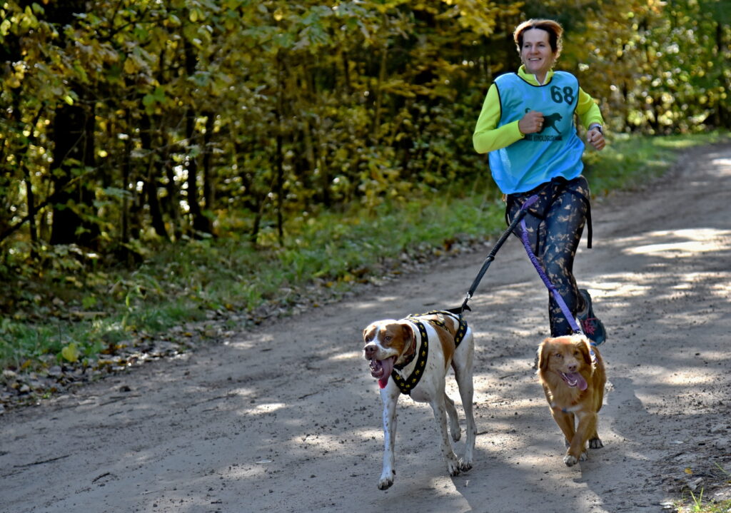 Autors: Uldis Varnevičs