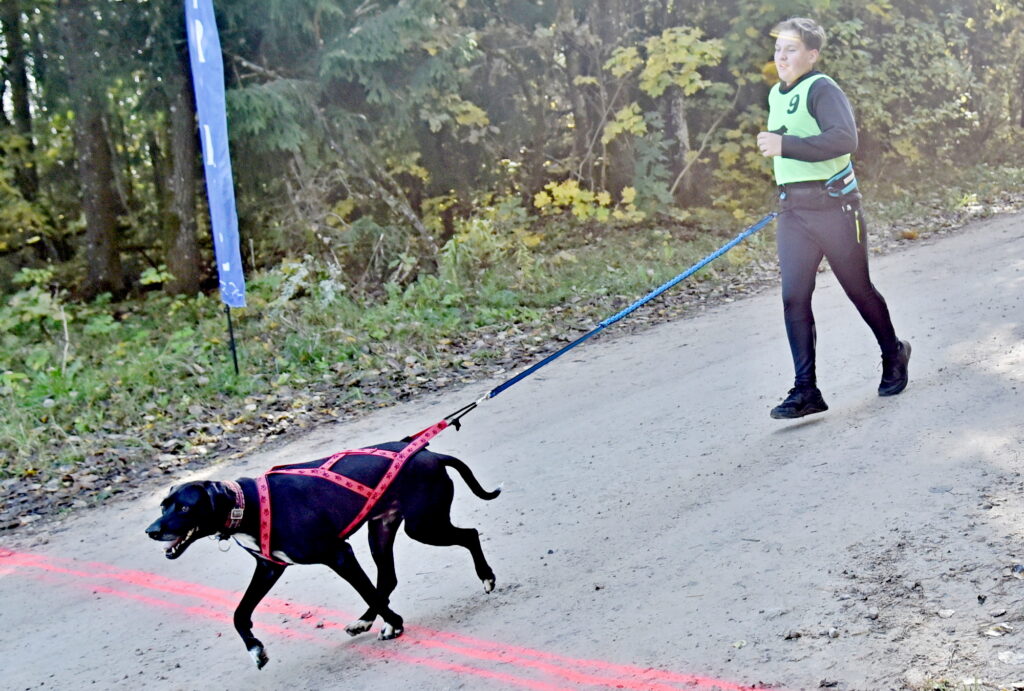 Autors: Uldis Varnevičs