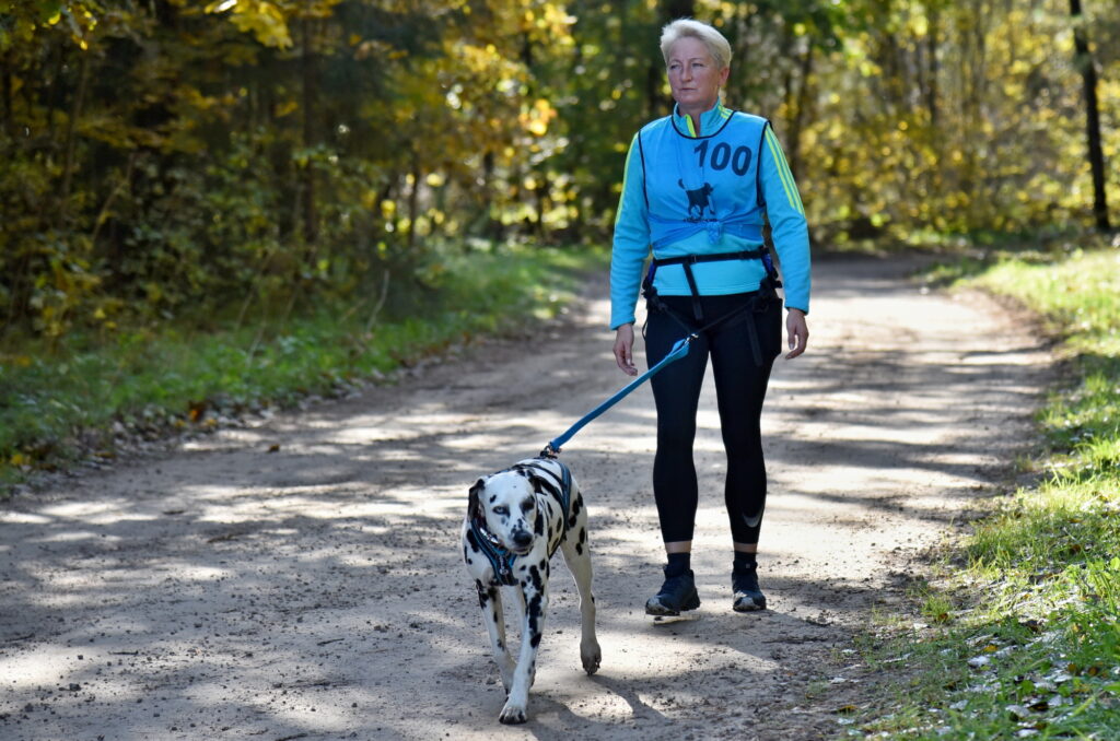 Autors: Uldis Varnevičs