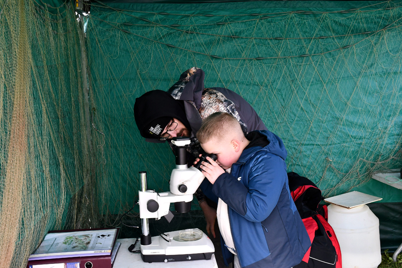 Autors: Ivars Bogdanovs