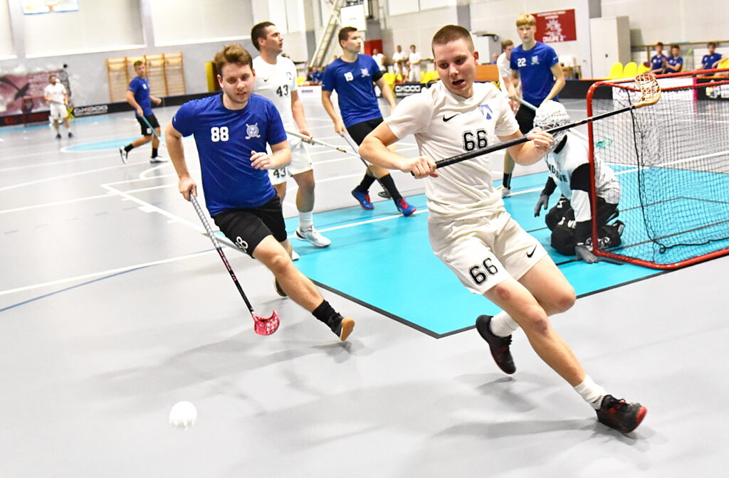 Autors: Uldis Varnevičs