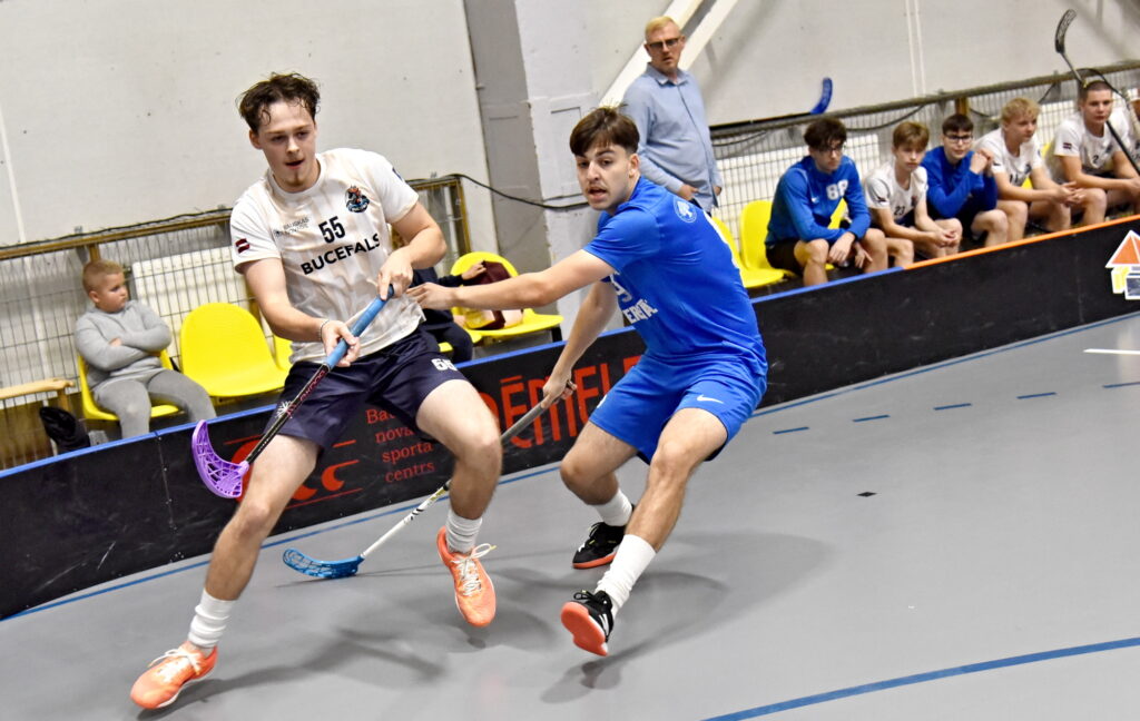 Autors: Uldis Varnevičs