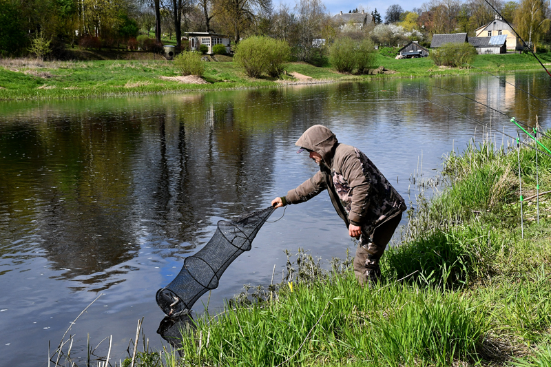 Autors: Ivars Bogdanovs