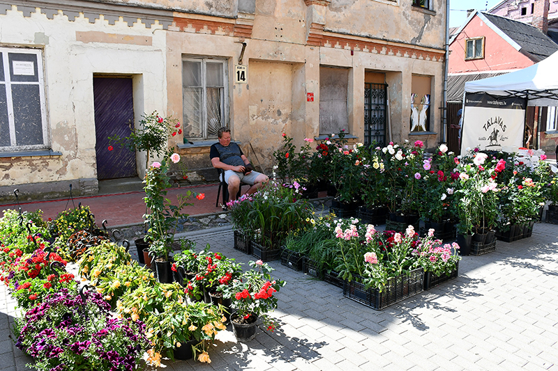 Autors: Ivars Bogdanovs