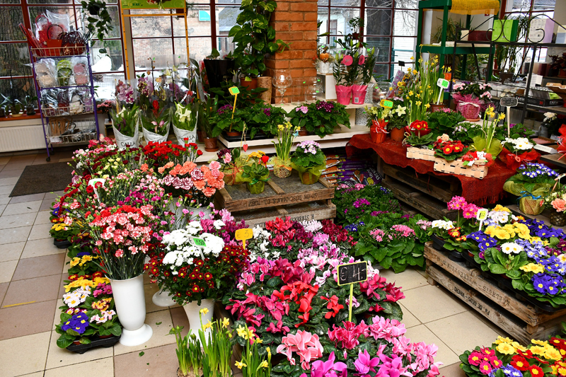 Autors: Ivars Bogdanovs