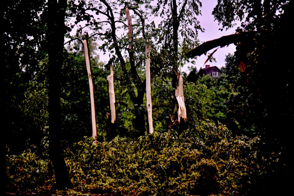 Autors: Uldis Varnevičs