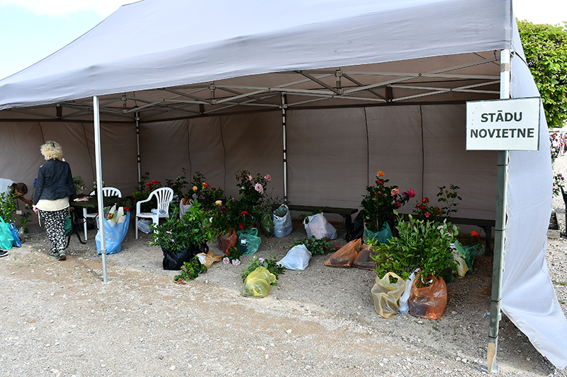 Autors: Ivars Bogdanovs