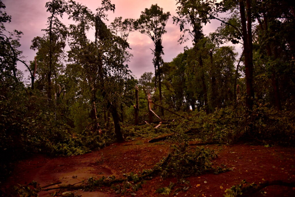 Autors: Uldis Varnevičs