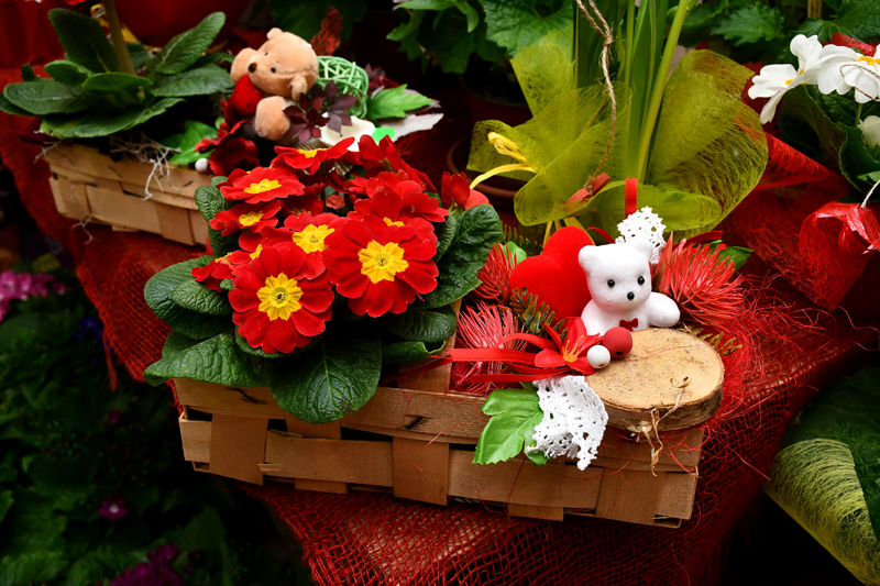 Autors: Ivars Bogdanovs