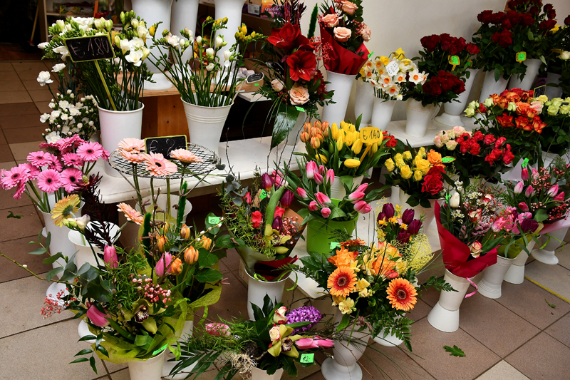 Autors: Ivars Bogdanovs