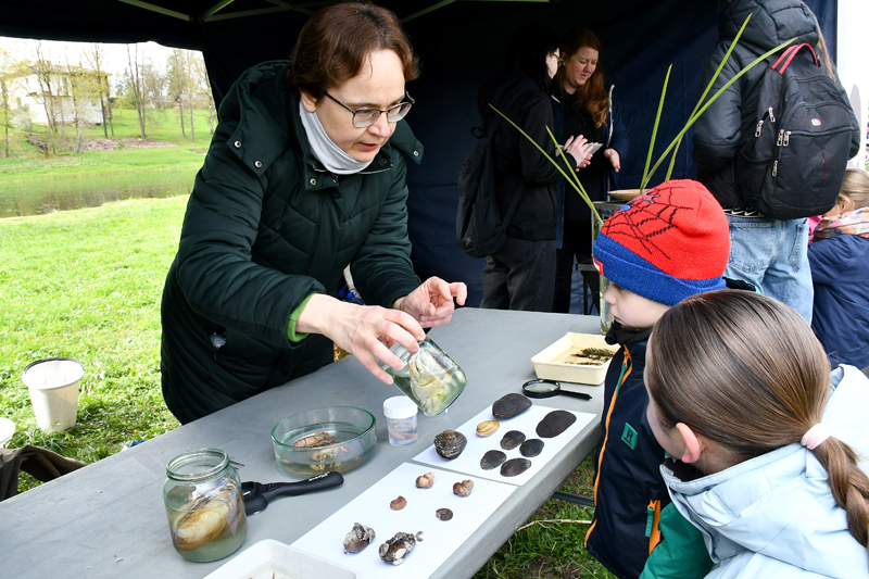 Autors: Ivars Bogdanovs