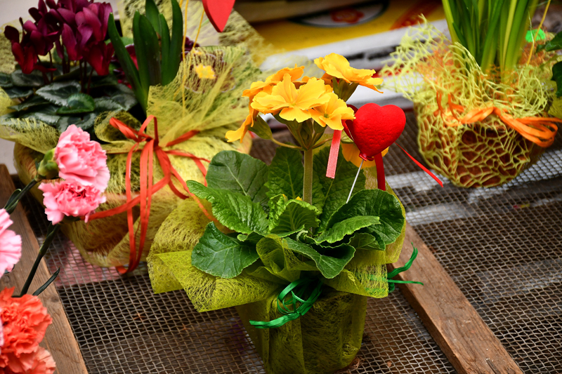 Autors: Ivars Bogdanovs