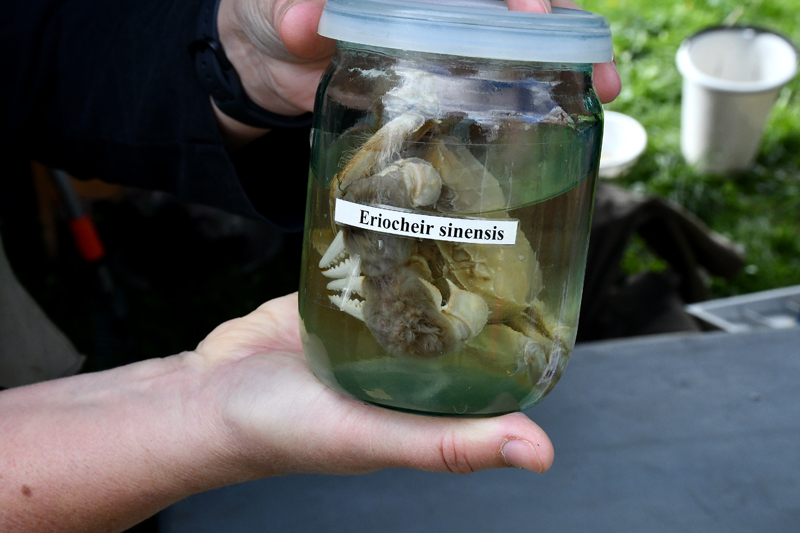 Autors: Ivars Bogdanovs