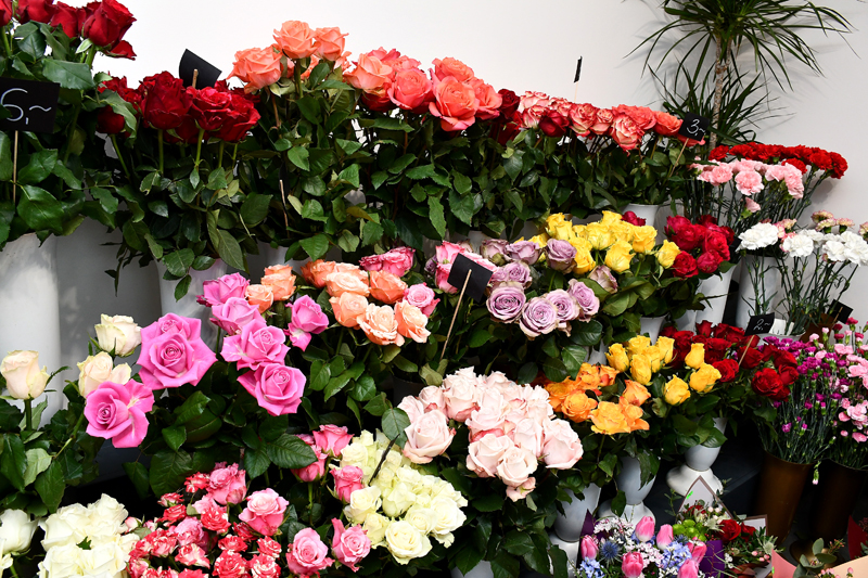 Autors: Ivars Bogdanovs