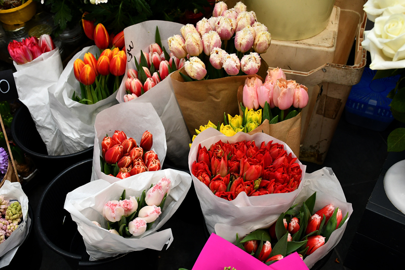 Autors: Ivars Bogdanovs