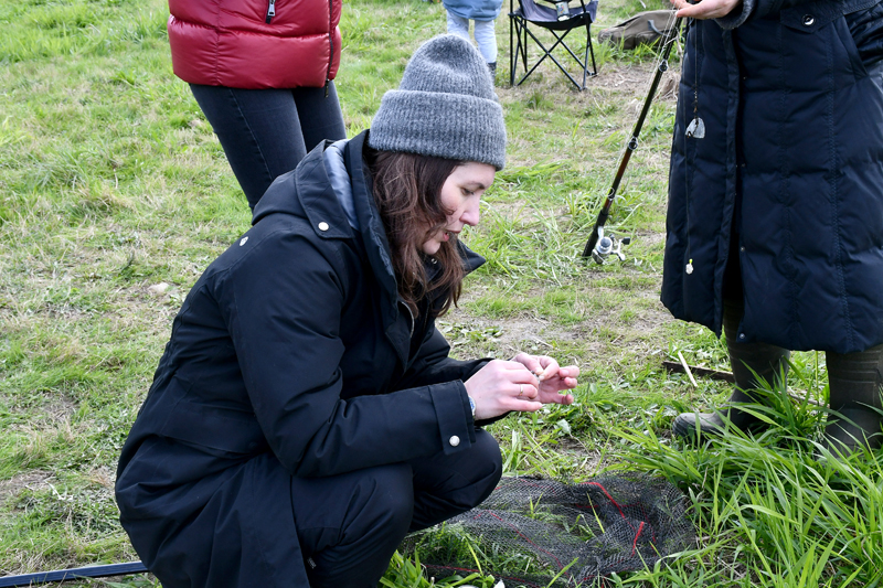 Autors: Ivars Bogdanovs