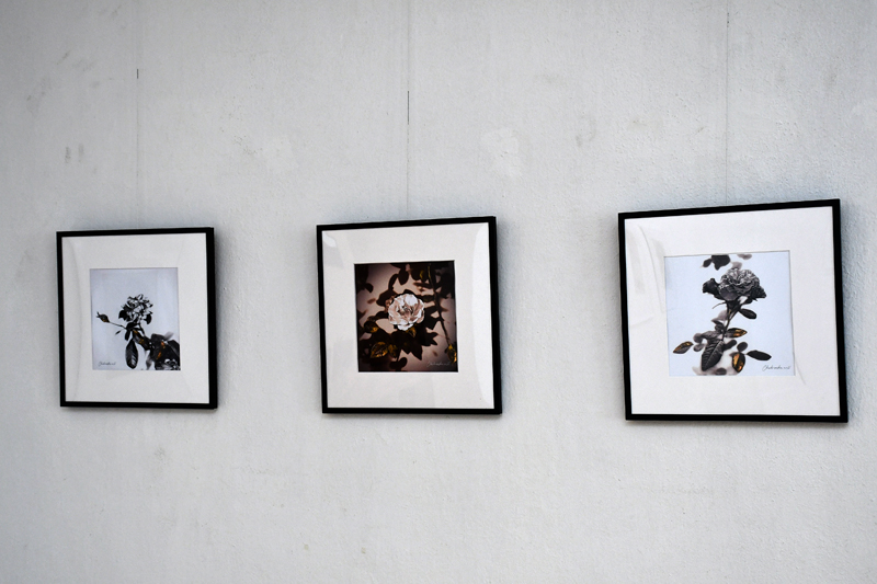 Autors: Ivars Bogdanovs