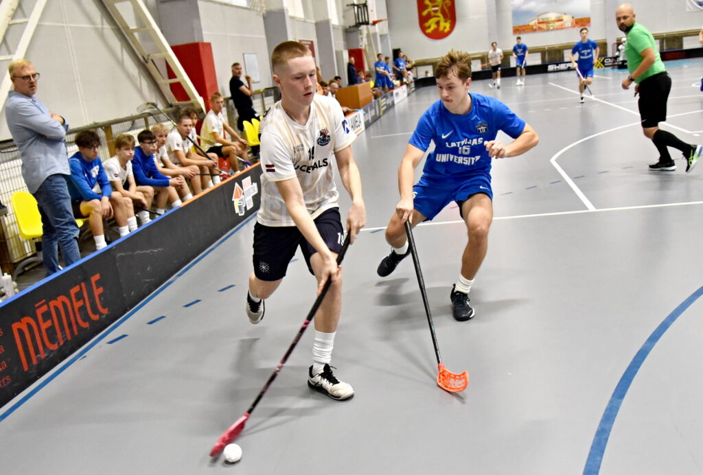 Autors: Uldis Varnevičs