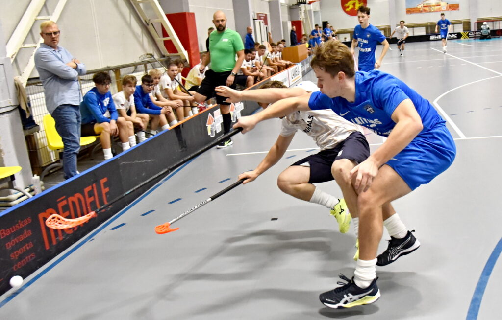 Autors: Uldis Varnevičs