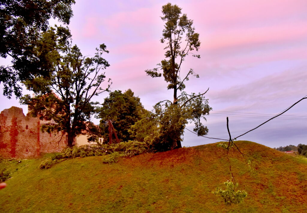 Autors: Uldis Varnevičs